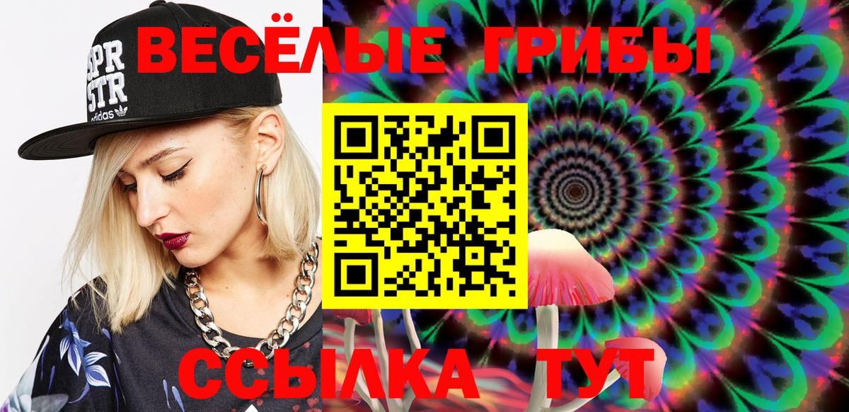 Галлюциногенные грибы Psilocybine cubensis Туймазы